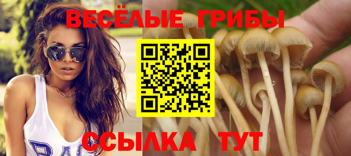 Скопин  магазин  наркотиков  Вход с VPN  Галлюциногенные грибы Magic Shrooms 